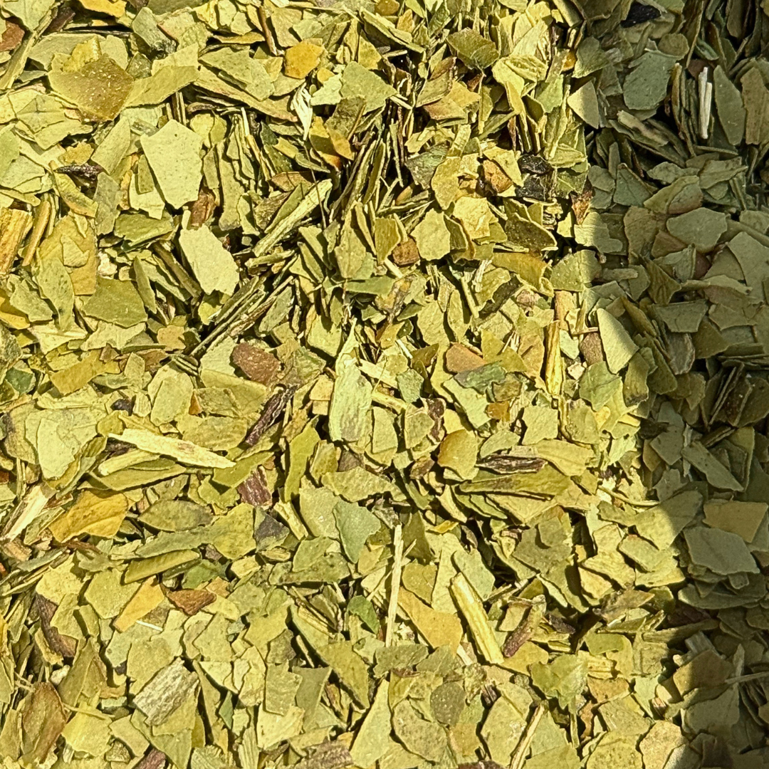 Maté Vert