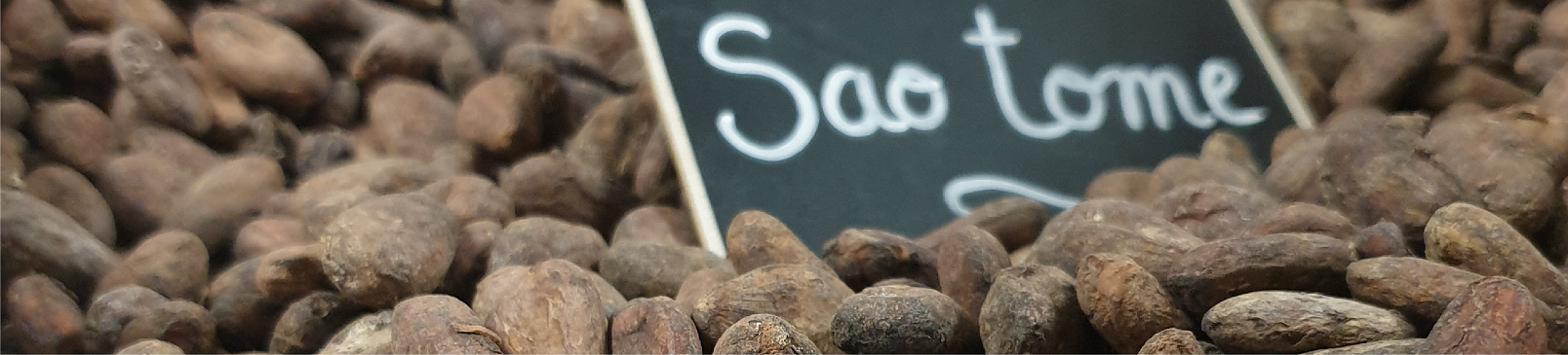 Fèves de cacao Sao Tomé pour chocolat bean to bar par Charles Chocolarttisan, maître artisan chocolatier