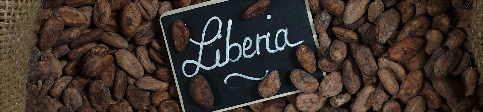 Fèves de cacao pour chocolat bean to bar Charles Chocolartisan