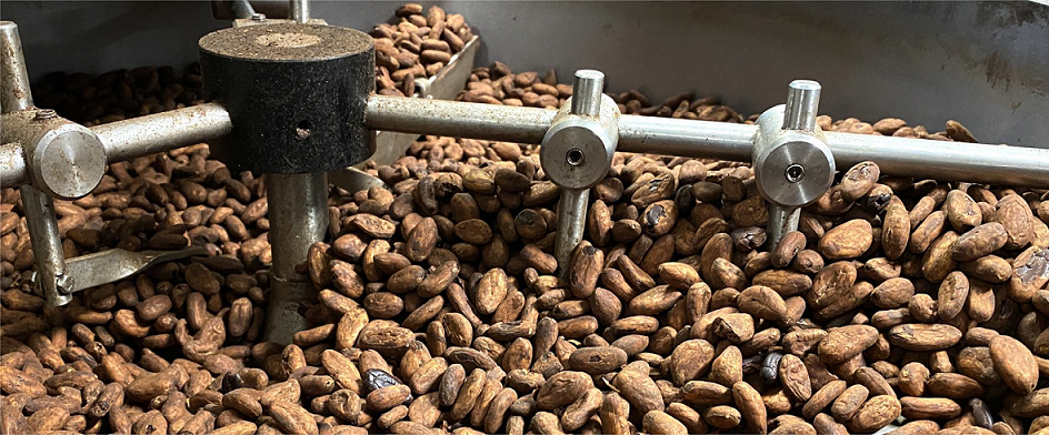 Torréfaction de fèves de cacao pour chocolat bean to bar Charles chocolartisan