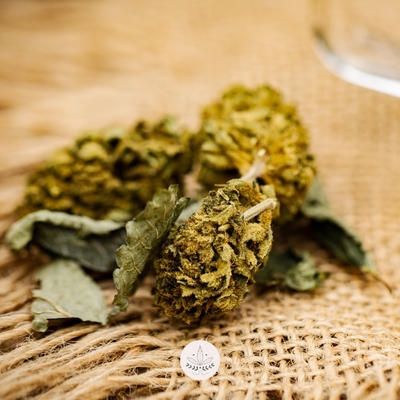 Charles Chocolartisan et Les plantes de Tomine s'associent pour créer un produit